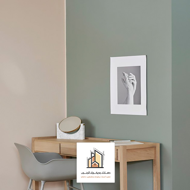 افضل دهان داخلي في ابها